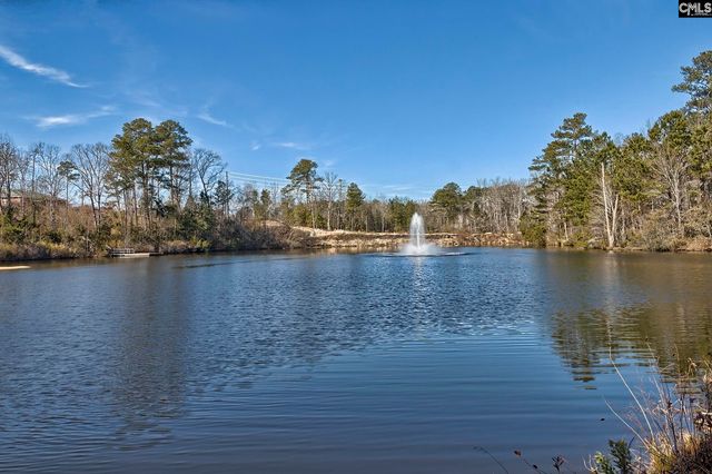 124 Ashewicke Drive, Columbia, SC 29229