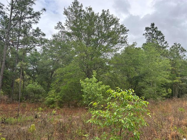 0000 SW 19TH PLACE, Ocala, FL 34481