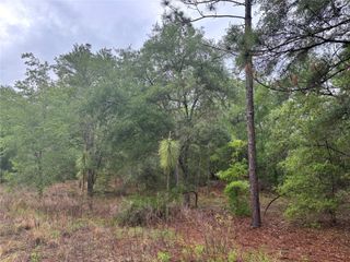 0000 SW 19TH PLACE, Ocala, FL 34481