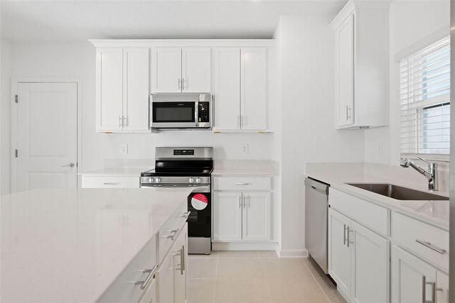 6017 WELLBEING WAY, Clermont, FL 34714
