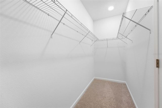 6017 WELLBEING WAY, Clermont, FL 34714