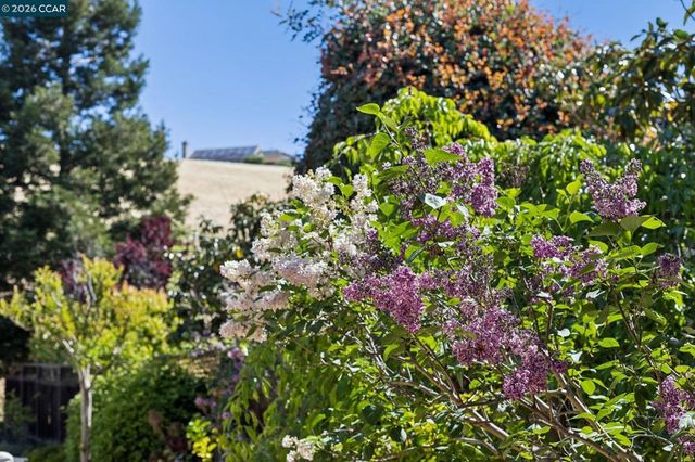 680 Quail Crest Drive, Walnut Creek, CA 94598