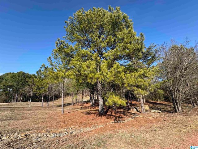 0 LORA LANE, Birmingham, AL 35214