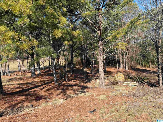 0 LORA LANE, Birmingham, AL 35214