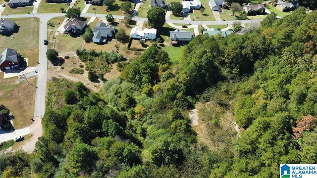 0 LORA LANE, Birmingham, AL 35214