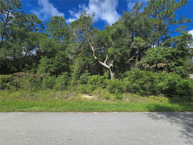 996 N CHARLES AVENUE, Inverness, FL 34453