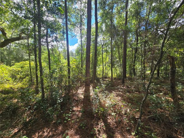 996 N CHARLES AVENUE, Inverness, FL 34453