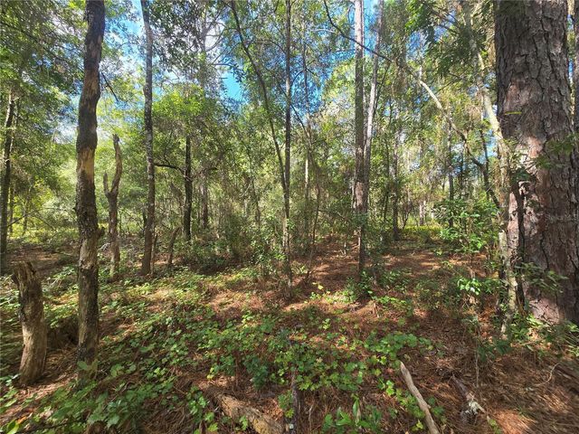 996 N CHARLES AVENUE, Inverness, FL 34453