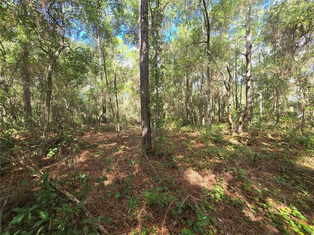 996 N CHARLES AVENUE, Inverness, FL 34453