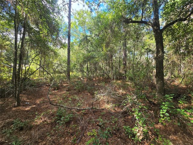 996 N CHARLES AVENUE, Inverness, FL 34453