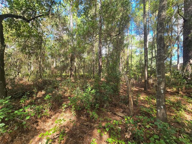 996 N CHARLES AVENUE, Inverness, FL 34453