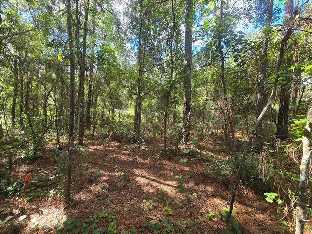 996 N CHARLES AVENUE, Inverness, FL 34453