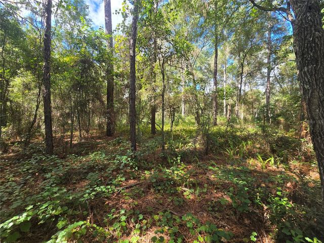 996 N CHARLES AVENUE, Inverness, FL 34453