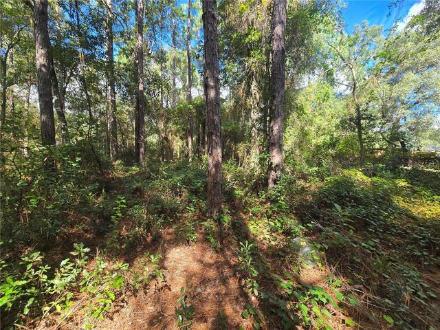 996 N CHARLES AVENUE, Inverness, FL 34453