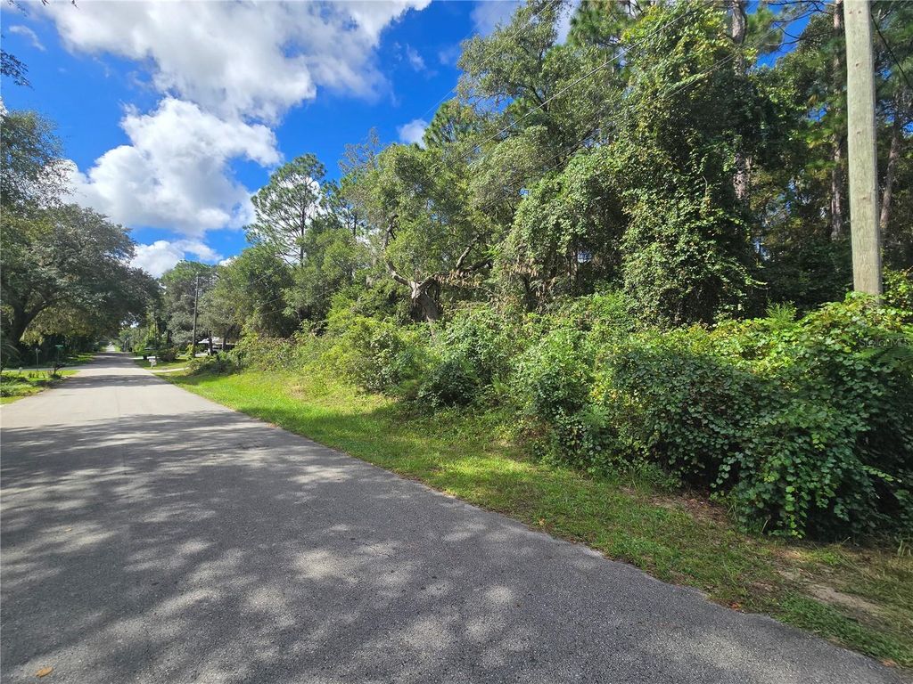 996 N CHARLES AVENUE, Inverness, FL 34453