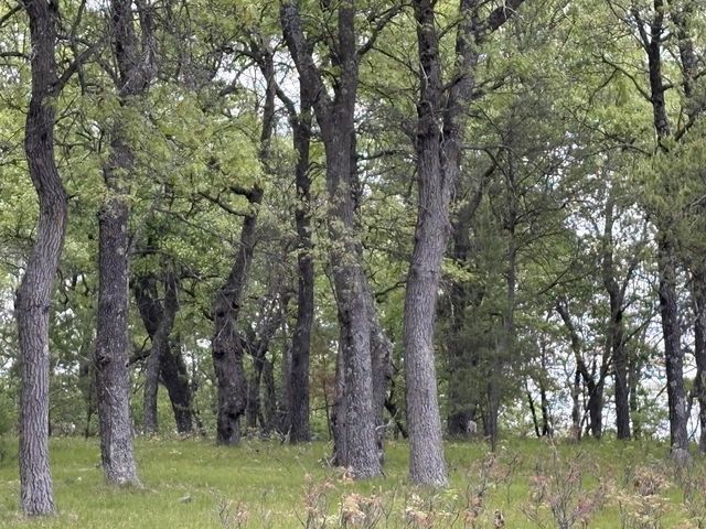 1186 Fairway Trail, Nekoosa, WI 54457