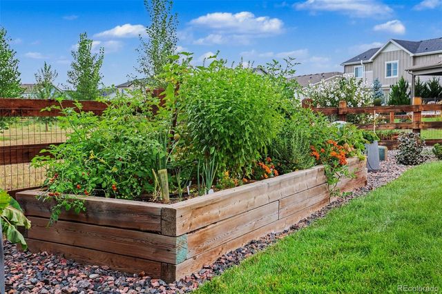 291 Marlowe Drive, Erie, CO 80516