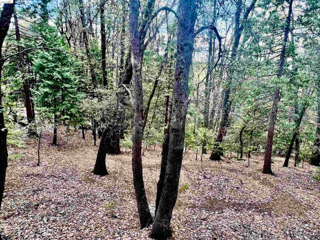 18981 Zachary Ct, Twain Harte, CA 95383