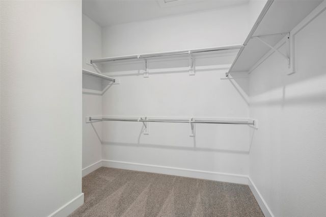 1204 Butterfly Dale Drive, Lavon, TX 75166