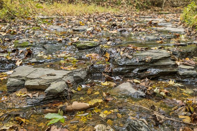 4388 Stenberg Rd, Whites Creek, TN 37189