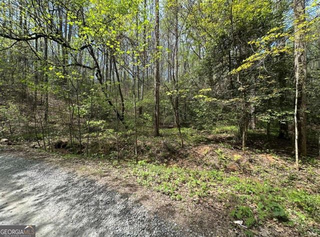LOT 20 Big Ben Road 20, Ellijay, GA 30540
