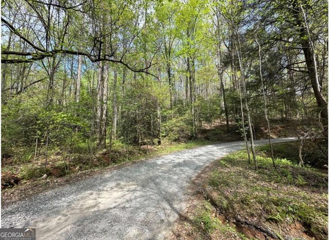 LOT 20 Big Ben Road 20, Ellijay, GA 30540