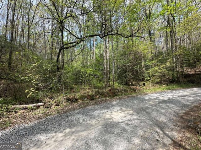 LOT 20 Big Ben Road 20, Ellijay, GA 30540