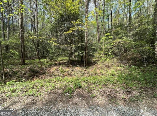 LOT 20 Big Ben Road 20, Ellijay, GA 30540