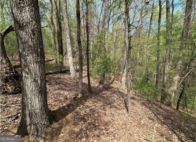 LOT 20 Big Ben Road 20, Ellijay, GA 30540