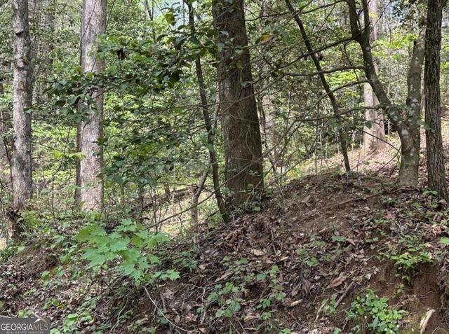 LOT 20 Big Ben Road 20, Ellijay, GA 30540