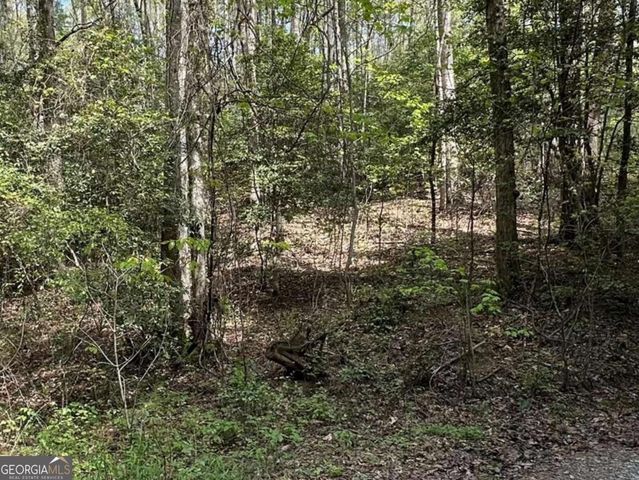 LOT 20 Big Ben Road 20, Ellijay, GA 30540