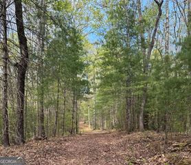 LOT 20 Big Ben Road 20, Ellijay, GA 30540