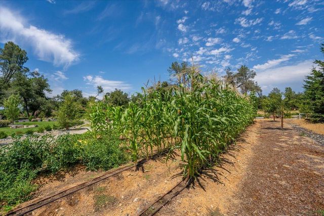 19580 Mockingbird Lane, Redding, CA 96002