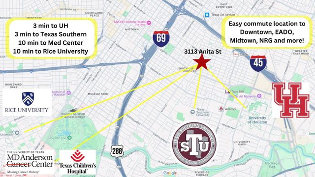 3113 Anita Street, Houston, TX 77004