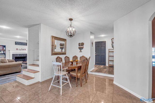 333 County Road 302, Hillsboro, AL 35643