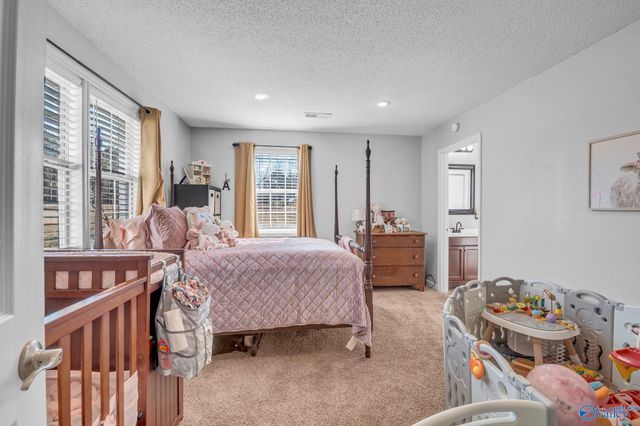 333 County Road 302, Hillsboro, AL 35643