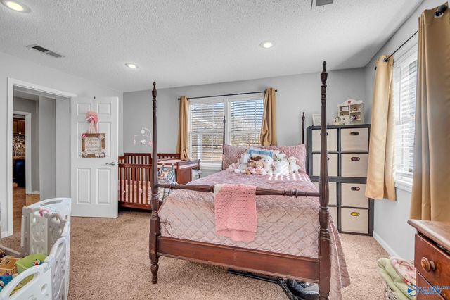 333 County Road 302, Hillsboro, AL 35643