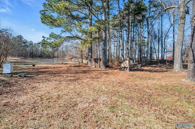333 County Road 302, Hillsboro, AL 35643