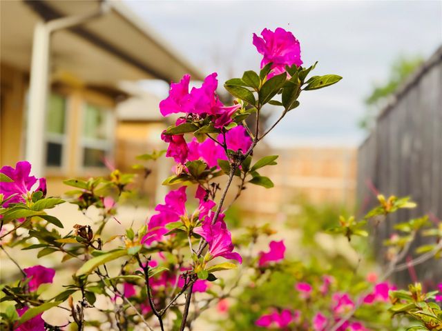 2210 Onion Creek PKWY 1404, Austin, TX 78747