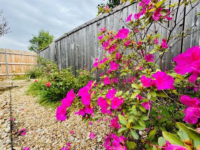 2210 Onion Creek PKWY 1404, Austin, TX 78747