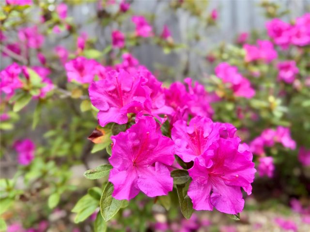 2210 Onion Creek PKWY 1404, Austin, TX 78747