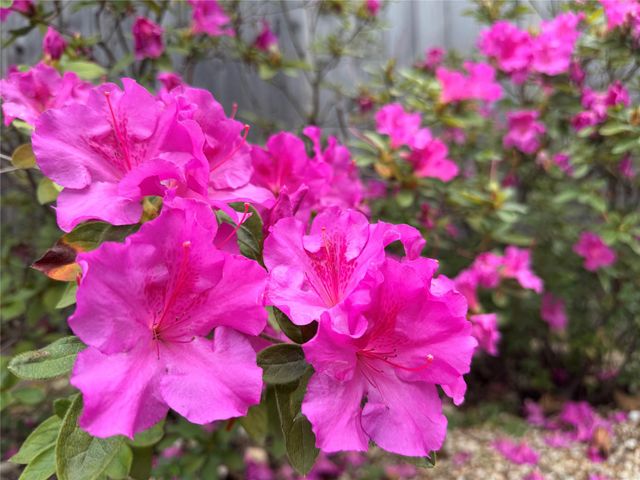 2210 Onion Creek PKWY 1404, Austin, TX 78747