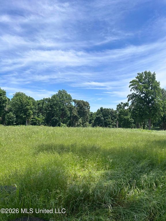 Church Road, Walls, MS 38680 — photo 2