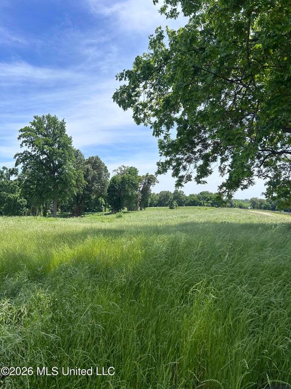 Church Road, Walls, MS 38680 — photo 4