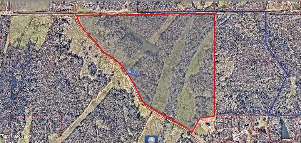 Church Road, Walls, MS 38680 — photo 5