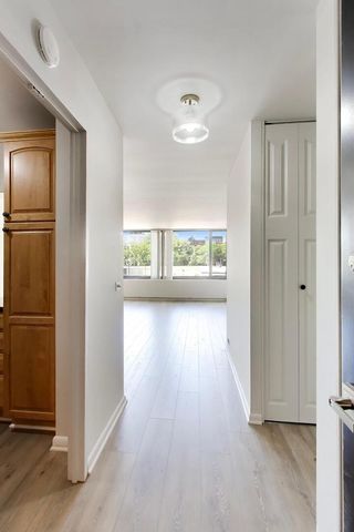 1555 N Sandburg Terrace 209K, Chicago, IL 60610