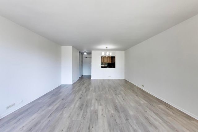 1555 N Sandburg Terrace 209K, Chicago, IL 60610