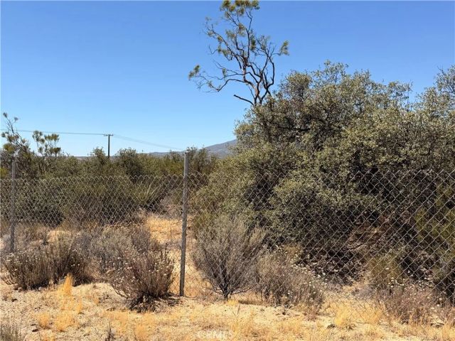 90002 Wellman, Anza, CA 92539