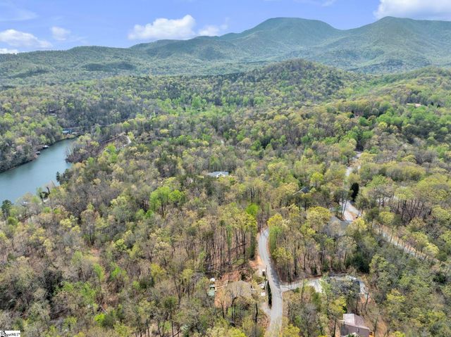 189 Caledonia Road, Landrum, SC 29356