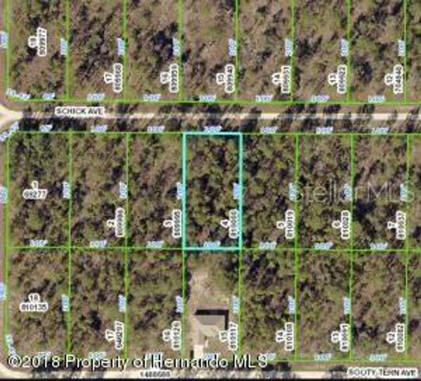 13352 SCHICK AVENUE, Brooksville, FL 34614